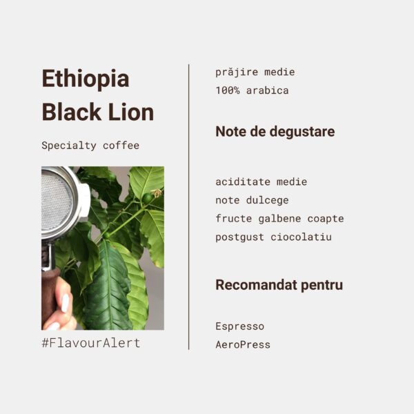 Cafea Specialty Ethiopia Black Lion